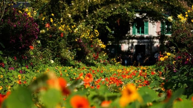 Jardins De L’Avenir