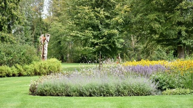 Innov Jardin